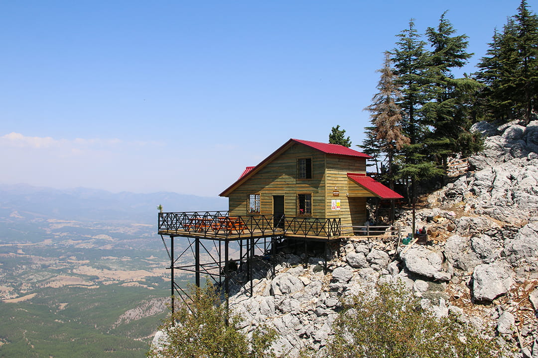 Başkanın Çardağı